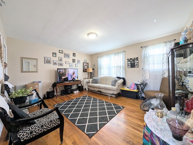 901 William St Apt D, Bridgeport, CT 06608 - living room with wood finished floors
