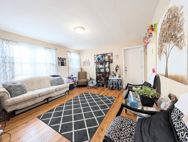 901 William St Apt D, Bridgeport, CT 06608 - living area featuring wood finished floors