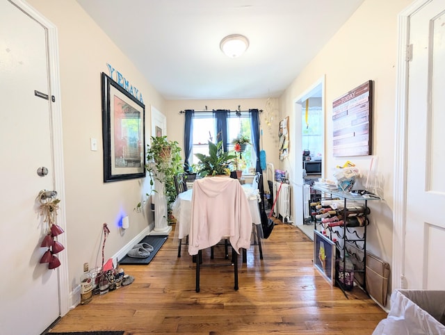 901 William St Apt D, Bridgeport, CT 06608 - dining area with wood finished floors