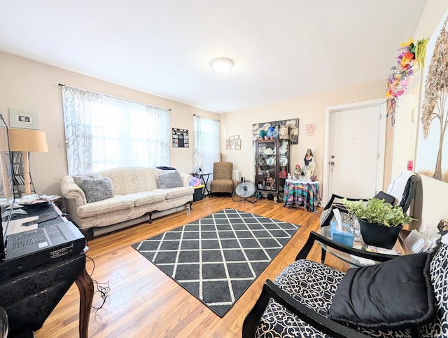 901 William St Apt D, Bridgeport, CT 06608 - living area featuring wood finished floors