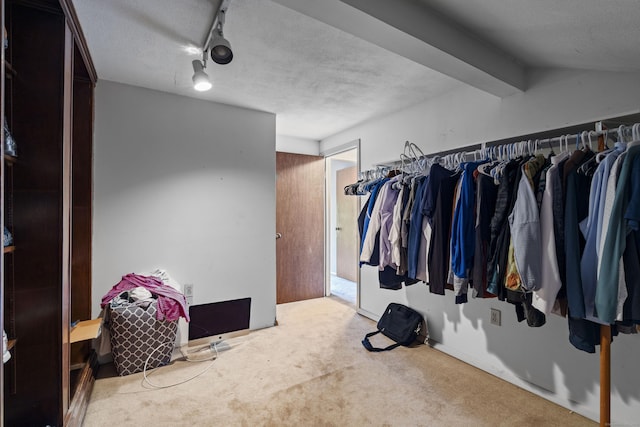 46 Rising Trail Dr Unit 46, Middletown, CT 06457 - spacious closet with carpet flooring and beamed ceiling