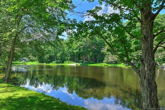50 Pond Rd, Easton, CT 06612 - water view featuring a forest