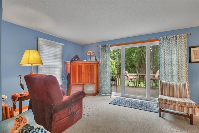 170 Summer St Unit 170, Portland, CT 06480 - living room featuring carpet floors and a textured ceiling
