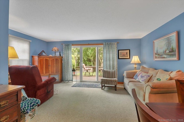 170 Summer St Unit 170, Portland, CT 06480 - living area with carpet floors, healthy amount of natural light, and a textured ceiling