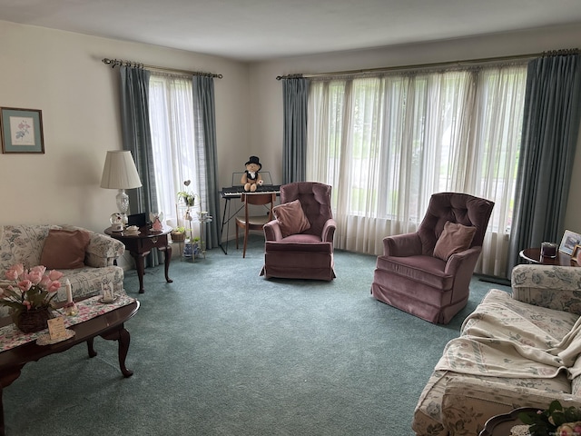 16 Round Hill Cir, Naugatuck, CT 06770 - living area featuring carpet floors