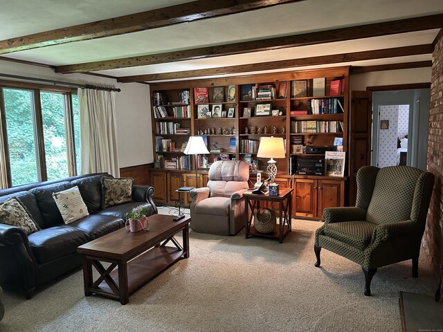 16 Round Hill Cir, Naugatuck, CT 06770 - living area with beam ceiling, carpet floors, and wainscoting