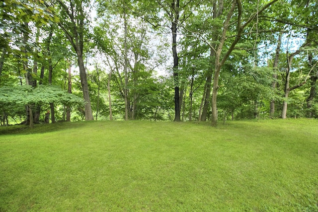 174 Cross Hwy, Westport, CT 06880 - view of green lawn