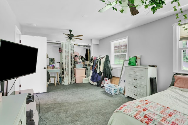 79 Ledgewood Dr, North Branford, CT 06471 - carpeted bedroom featuring multiple windows and ceiling fan