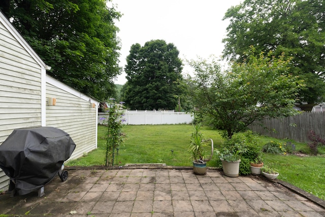 180 Lake Ave, Bristol, CT 06010 - fenced backyard featuring grilling area and a patio area