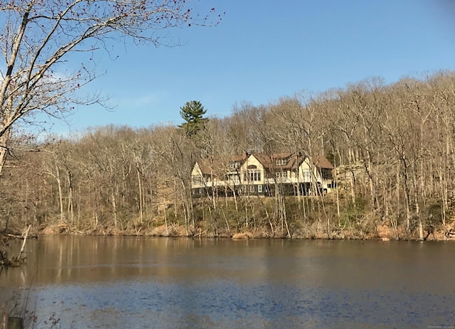 95 Shailer Pond Rd, Deep River, CT 06417 - water view with a forest