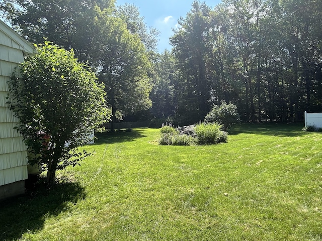 25 Tanglewood Ln, Naugatuck, CT 06770 - view of grassy yard