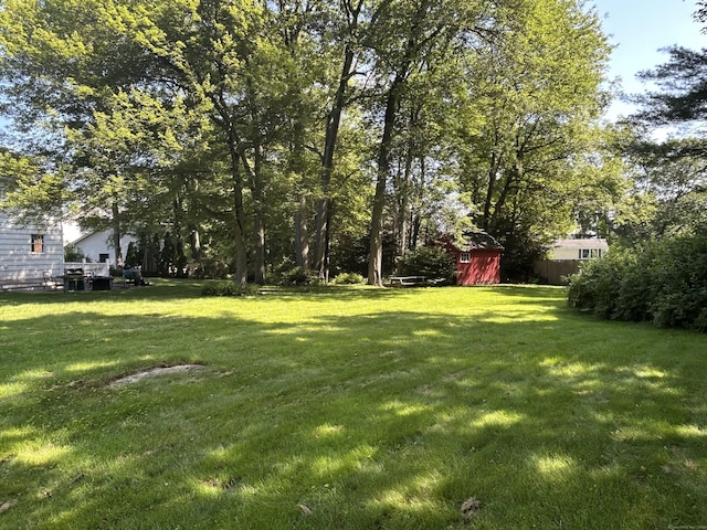25 Tanglewood Ln, Naugatuck, CT 06770 - view of green lawn