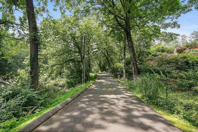 3090 High Ridge Rd, Stamford, CT 06903 - photo 37