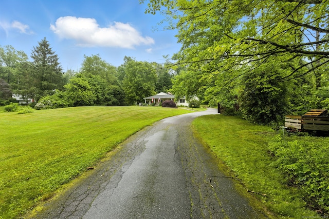 480 Wall St, Hebron, CT 06248 - view of asphalt driveway