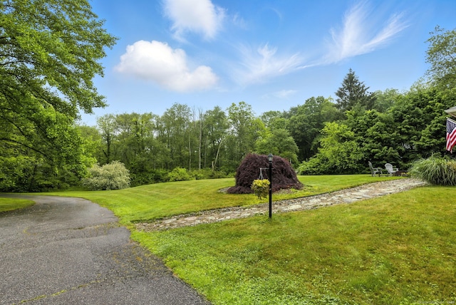 480 Wall St, Hebron, CT 06248 - view of home's community with a lawn