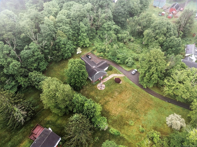480 Wall St, Hebron, CT 06248 - aerial view