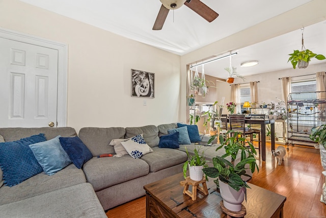 190 Whitney Ave, Bridgeport, CT 06606 - living room featuring a ceiling fan and wood finished floors