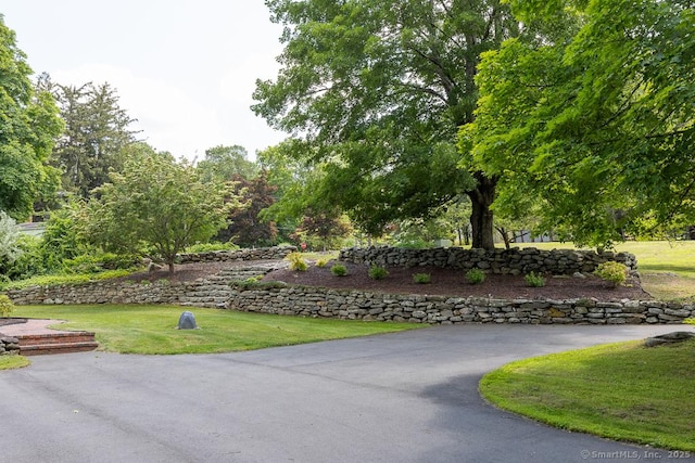 10 Laurel Grove Dr, Haddam, CT 06441 - view of community with a yard