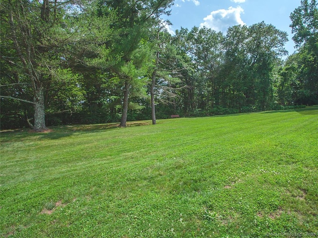 32 Knoll Ln Unit 32, Simsbury, CT 06089 - photo 17