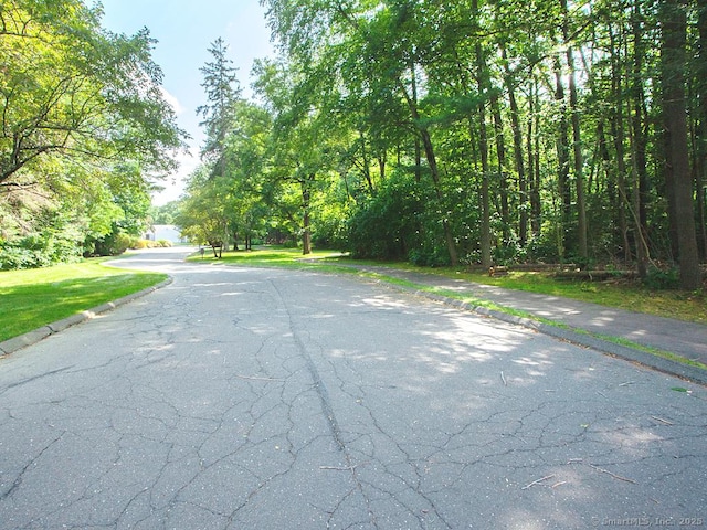 32 Knoll Ln Unit 32, Simsbury, CT 06089 - photo 19