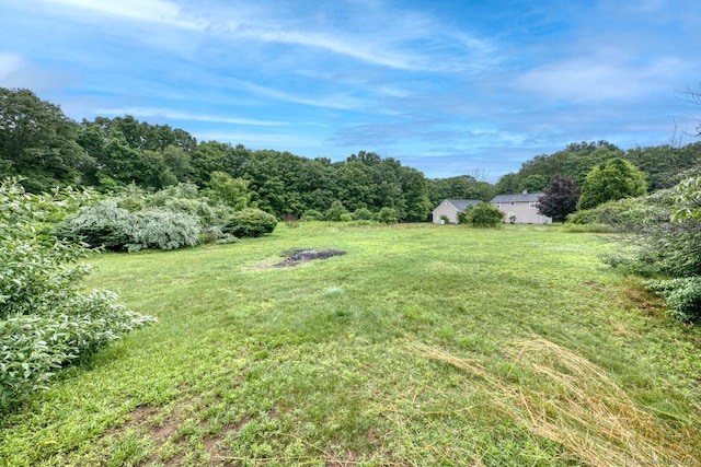 295 Hunting Lodge Rd, Mansfield, CT 06268 - view of green lawn
