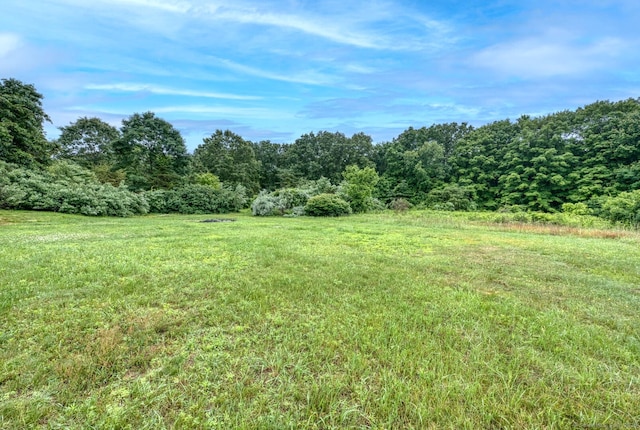 295 Hunting Lodge Rd, Mansfield, CT 06268 - view of yard with a forest view