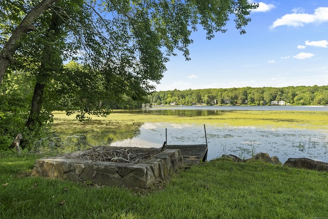 253 E Haddam Colchester Tpke, East Haddam, CT 06423 - photo 5