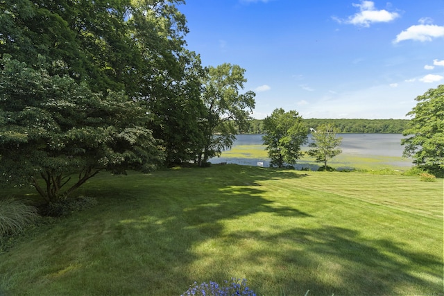 253 E Haddam Colchester Tpke, East Haddam, CT 06423 - photo 10