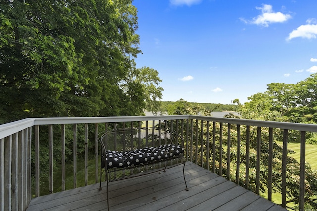 253 E Haddam Colchester Tpke, East Haddam, CT 06423 - photo 26