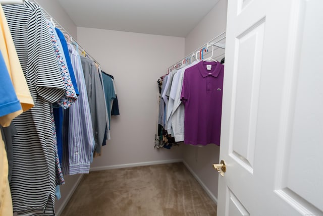 6 Fawn Meadow Dr, Naugatuck, CT 06770 - walk in closet featuring carpet flooring