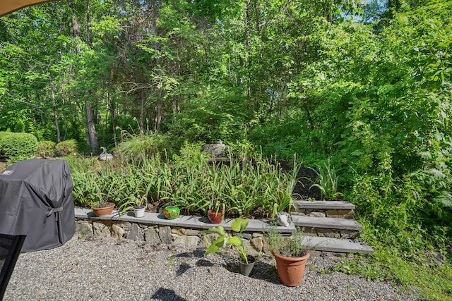 123 Old Belden Hill Rd Apt 24, Norwalk, CT 06850 - view of yard