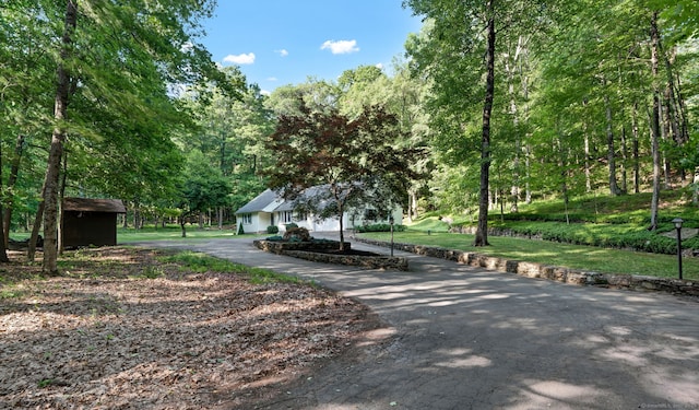 146 Newgate Rd, East Granby, CT 06026 - photo 22