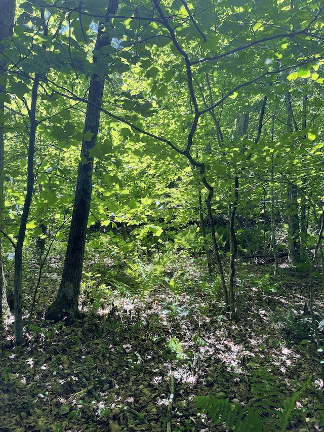 710 Smithfield Rd, Millerton, NY 12546
