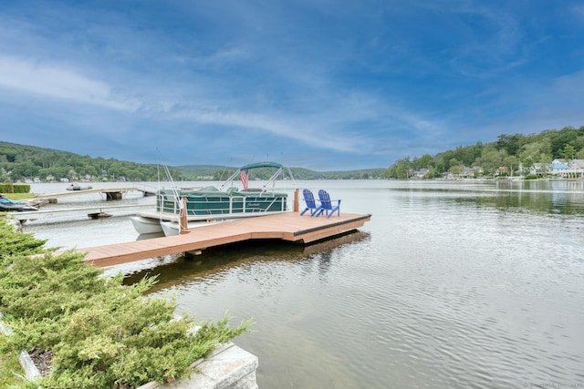 722 Lake Dr, Winchester, CT 06098 - photo 4