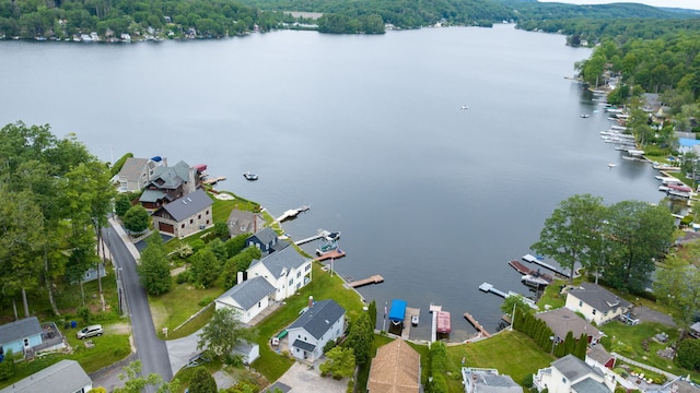 722 Lake Dr, Winchester, CT 06098 - photo 34