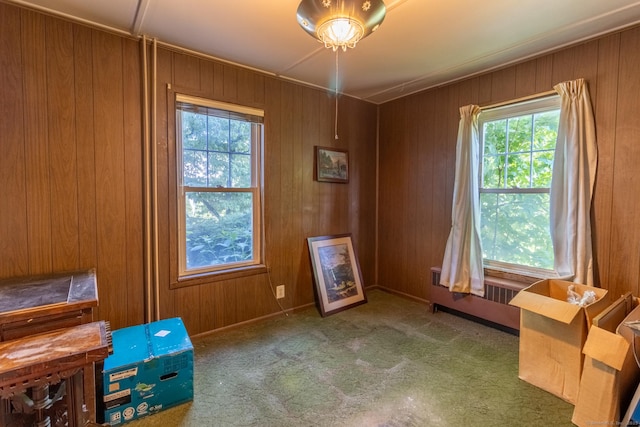 47 Ridge Rd, Middletown, CT 06457 - carpeted spare room featuring healthy amount of natural light, radiator, and wooden walls