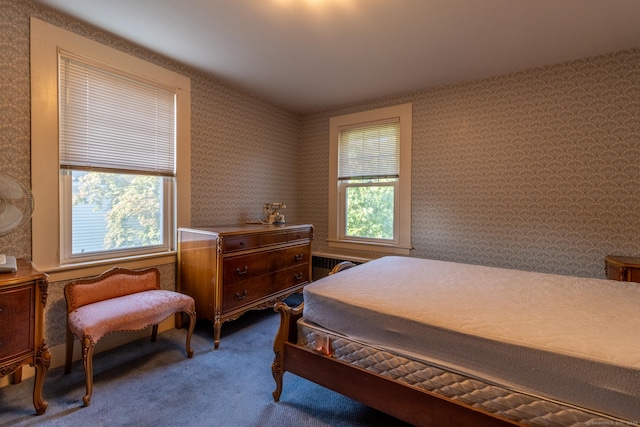 47 Ridge Rd, Middletown, CT 06457 - carpeted bedroom featuring wallpapered walls and radiator heating unit