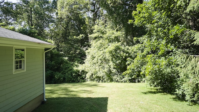 19 Eli Chapman Rd, East Haddam, CT 06469 - view of grassy yard