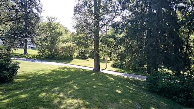 19 Eli Chapman Rd, East Haddam, CT 06469 - view of green lawn