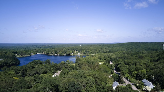 19 Eli Chapman Rd, East Haddam, CT 06469 - aerial view of a large body of water