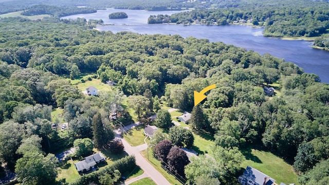 19 Eli Chapman Rd, East Haddam, CT 06469 - aerial view of a forest and a nearby body of water
