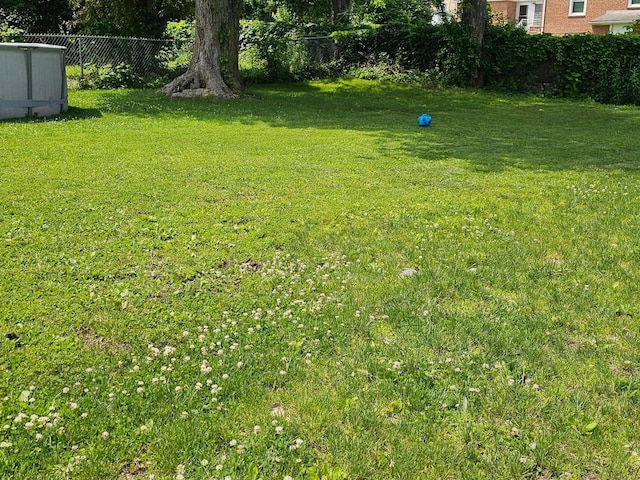 27 White Rose Ave, Waterbury, CT 06708 - view of yard