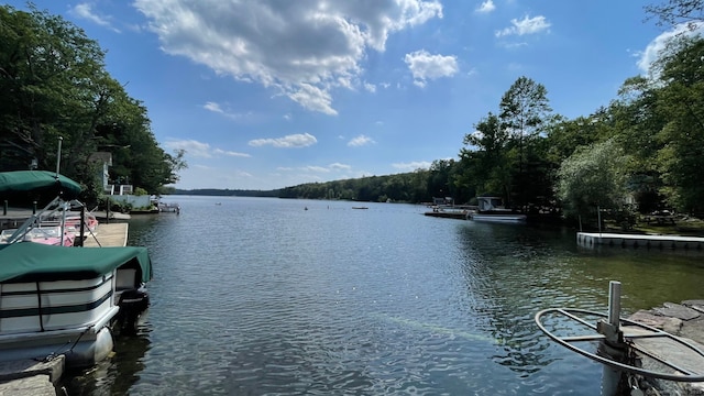 9 Hilltop Rd, New Hartford, CT 06057 - photo 28