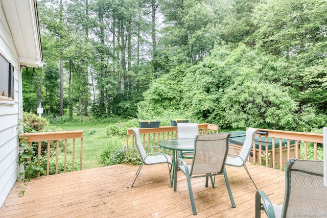 126 Grand View Ter, Brooklyn, CT 06234 - photo 32