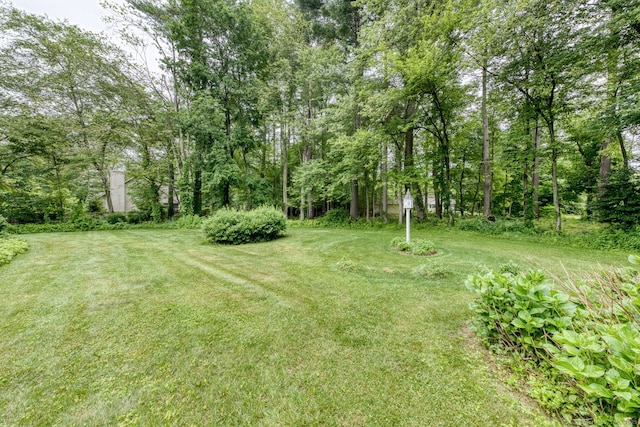 126 Grand View Ter, Brooklyn, CT 06234 - photo 38