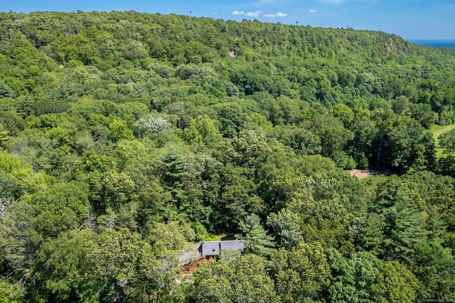 4 Coppergate Rd, East Granby, CT 06026 - bird's eye view of a heavily wooded area