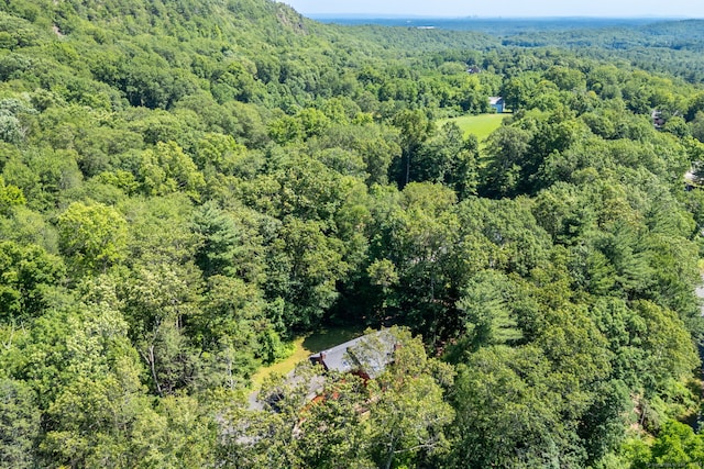 4 Coppergate Rd, East Granby, CT 06026 - bird's eye view of a heavily wooded area