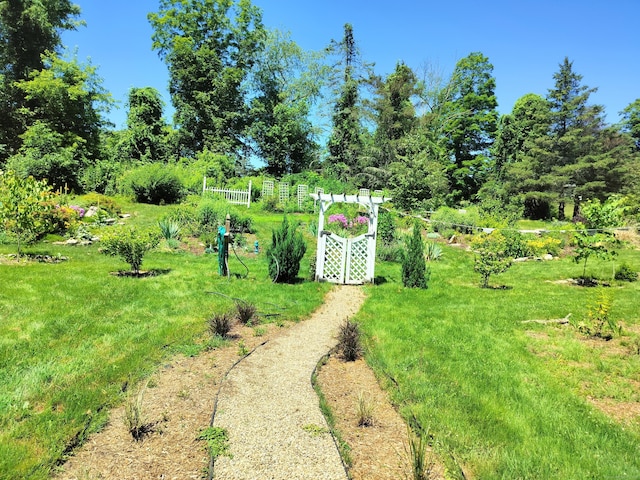 51 Moodus Leesville Rd, East Haddam, CT 06469 - view of yard