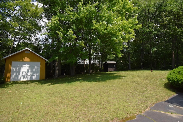 81 Birchwood Dr, Torrington, CT 06790 - view of green lawn with a detached garage and a shed