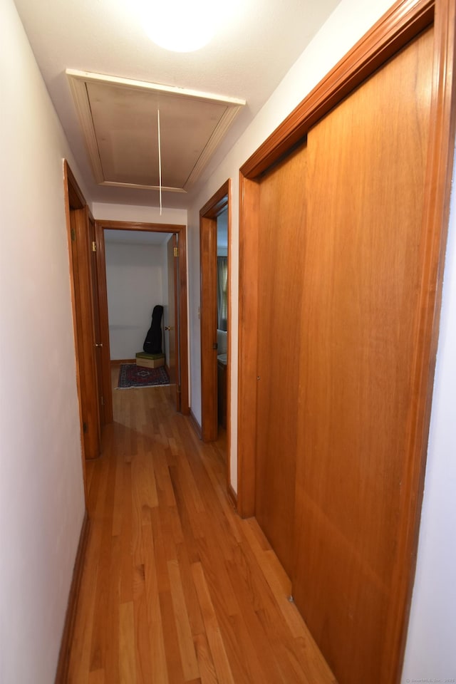 81 Birchwood Dr, Torrington, CT 06790 - hallway featuring attic access and light wood-type flooring
